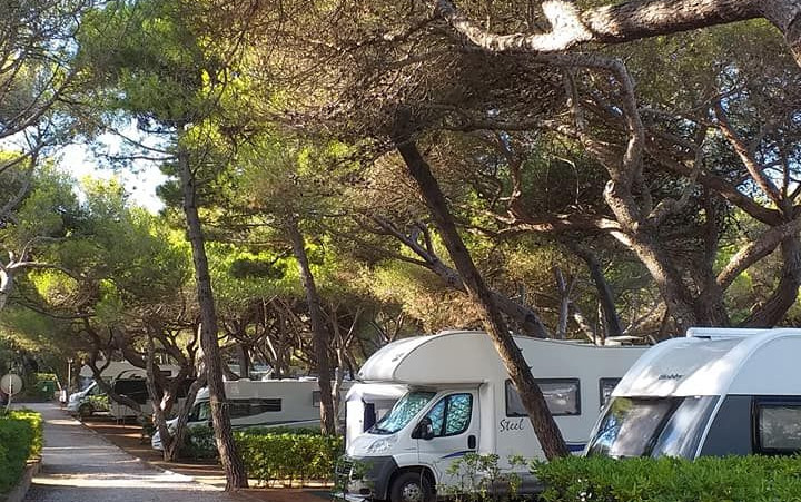 Camping Belmare