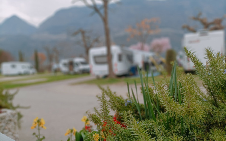 Camping Arquin