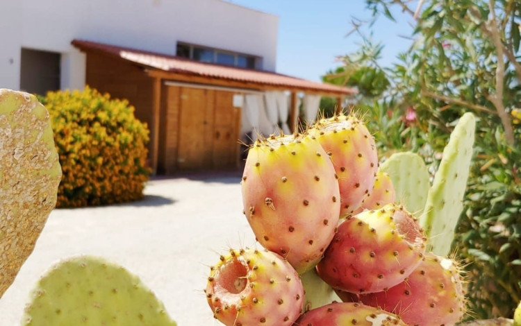 Camping Lilybeo Village