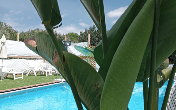 Mons Gibel Camping Park