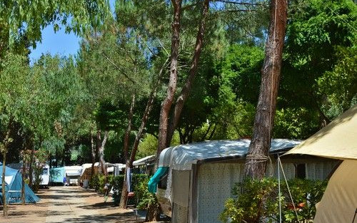 Camping Arrighi
