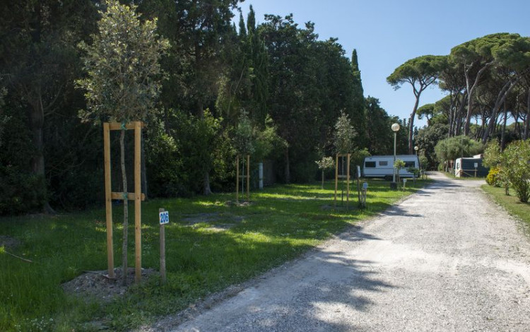 Camping Bocca di Cecina