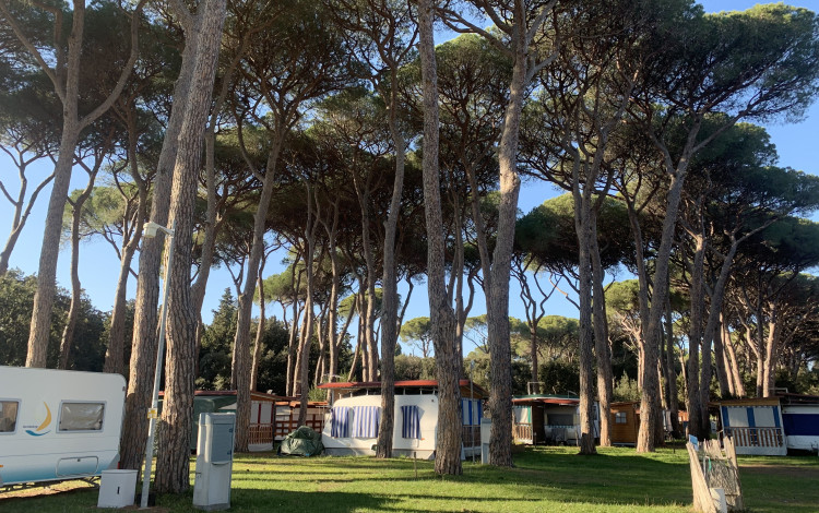 Camping Bocca di Cecina