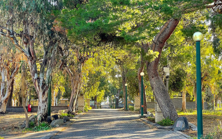 Pampaleone Glamping Resort