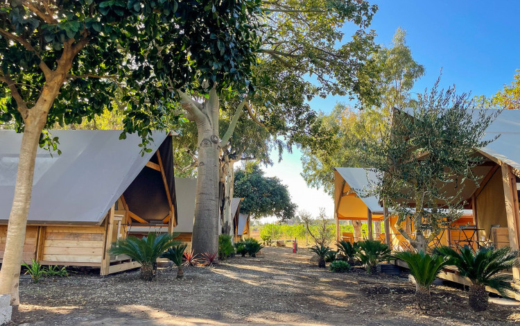 Pampaleone Glamping Resort
