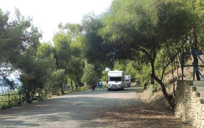 Camping Alfierinmovimento