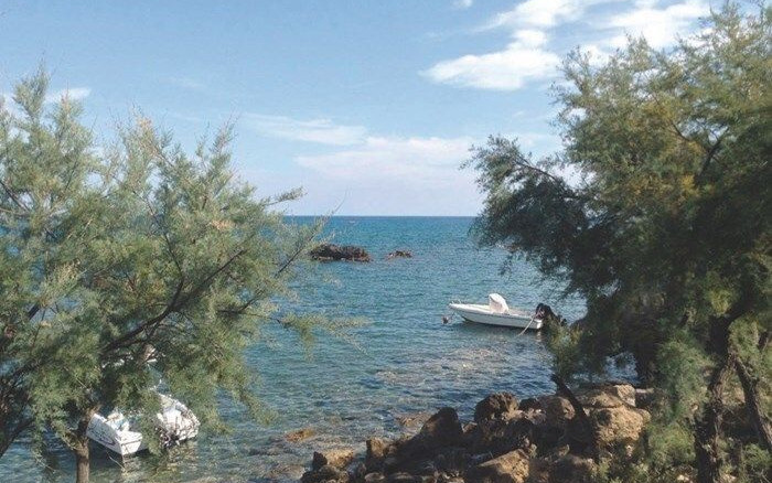 Camping Alfierinmovimento