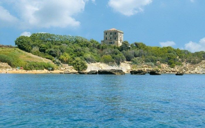 Camping Alfierinmovimento