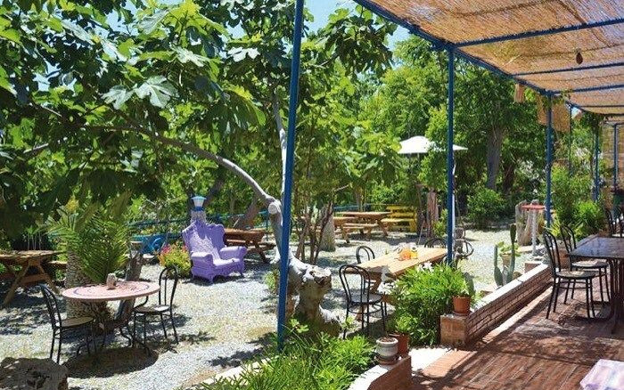 Camping Alfierinmovimento