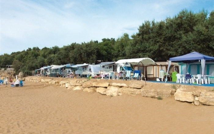 Camping Alfierinmovimento