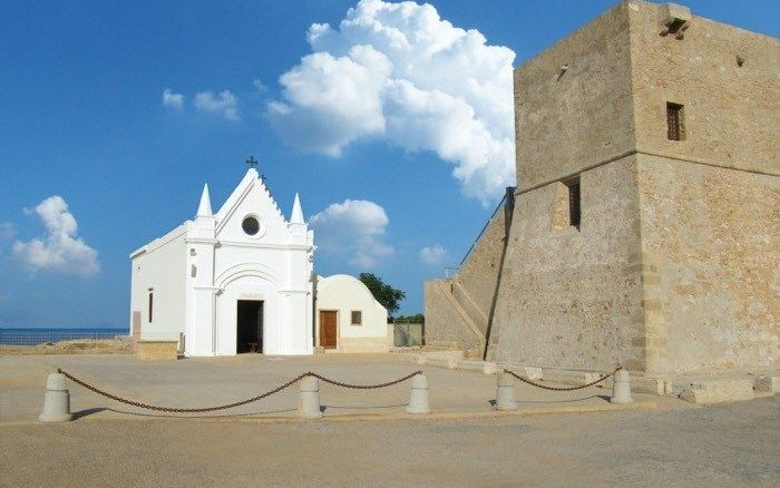 Camping Alfierinmovimento