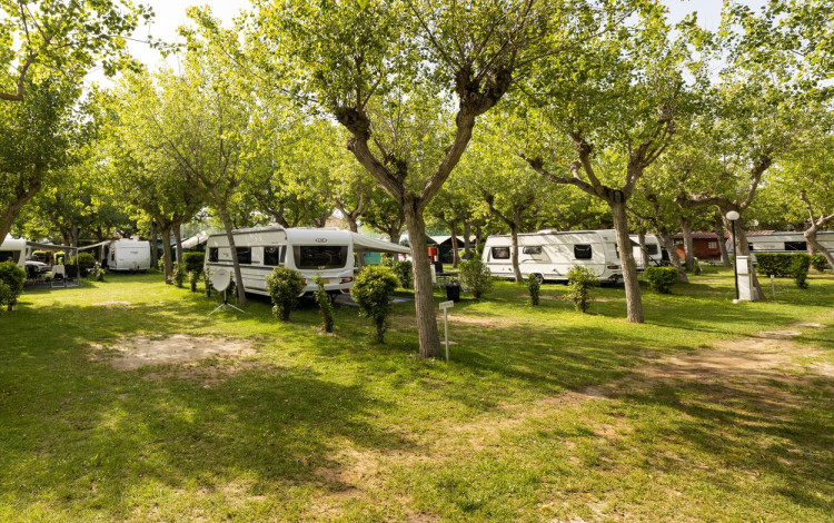 Camping Classe