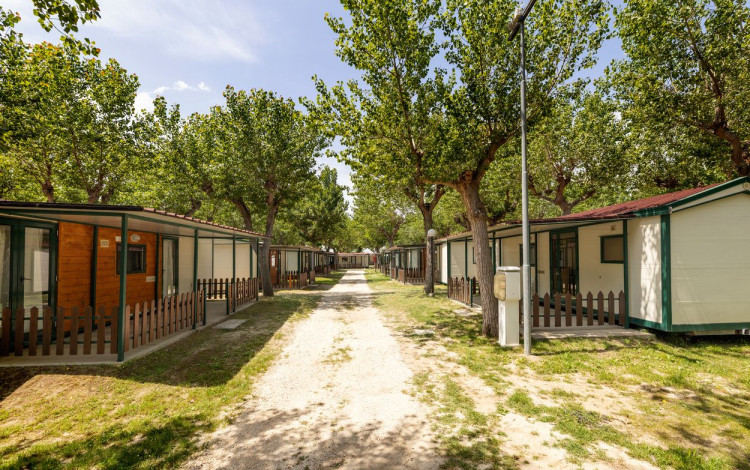 Camping Classe