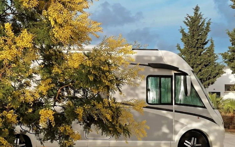 Camping Lilybeo Village