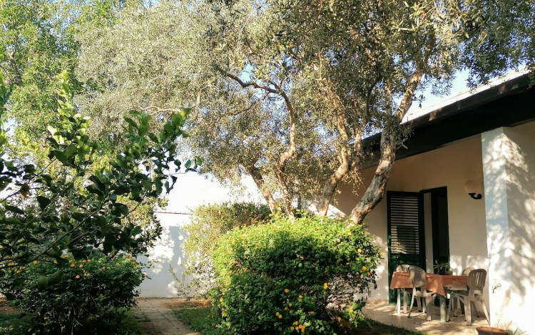 Camping Lilybeo Village