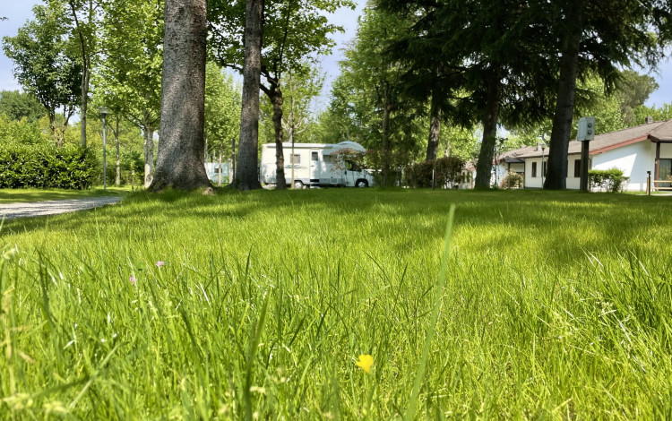 Camping Village Lago Maggiore