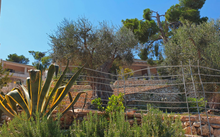 Villaggio Campeggio Baia degli Aranci
