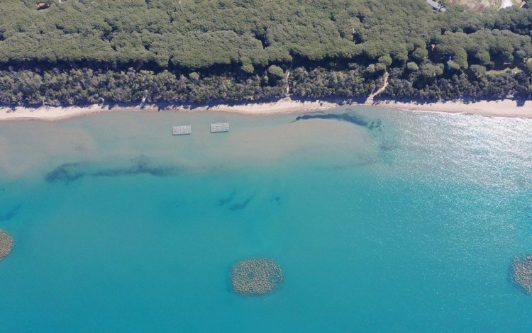 Camping Marina Chiara
