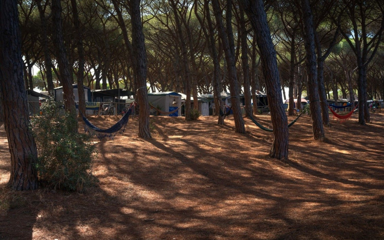 Camping Marina Chiara
