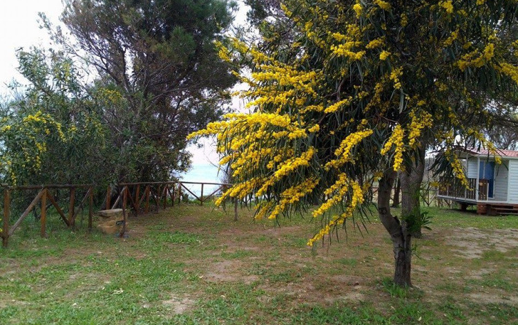 Camping Pizzo Greco - Club Naturista