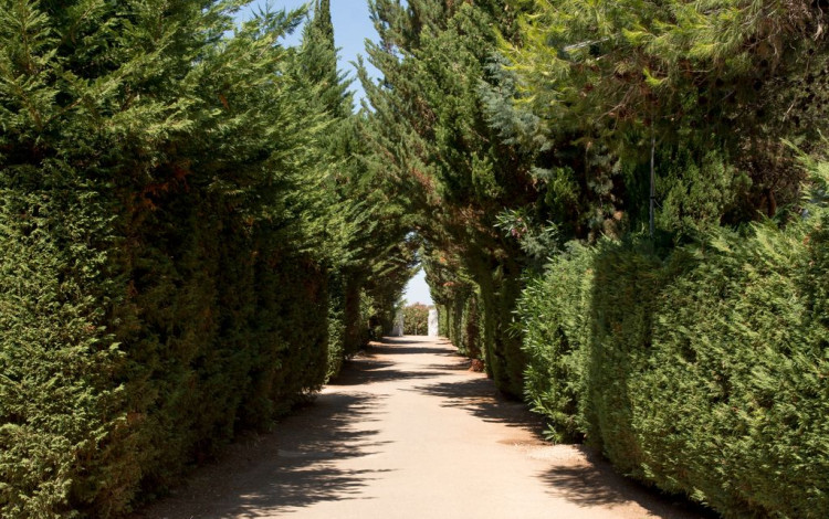 Villaggio Campeggio Cala dei Ginepri