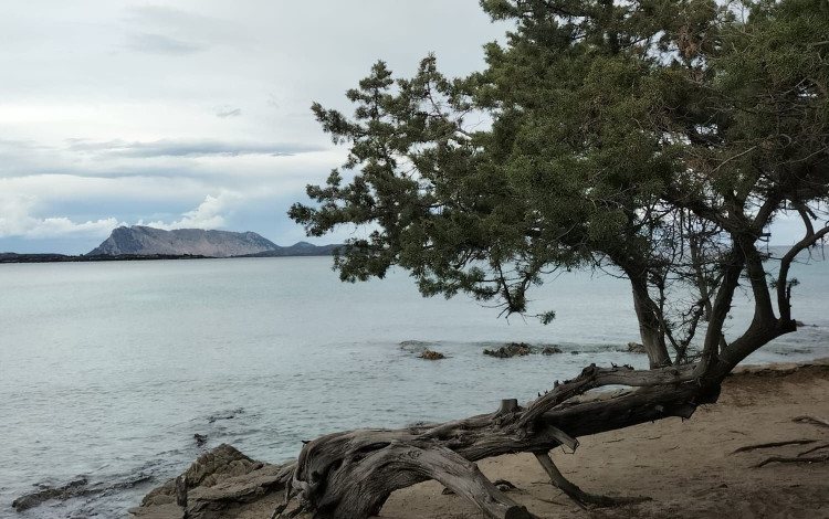 Camping Cala d'Ambra