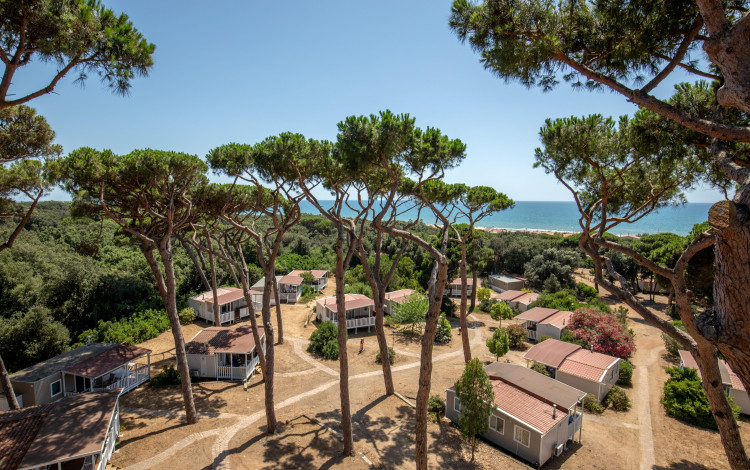 Camping Village Parco della Gallinara