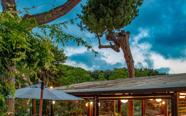 Camping Village Parco della Gallinara
