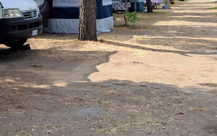 Camping Torre Casale