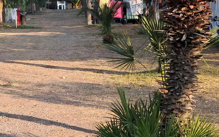 Camping Torre Casale