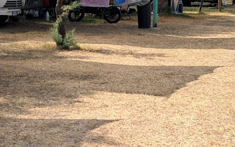 Camping Torre Casale