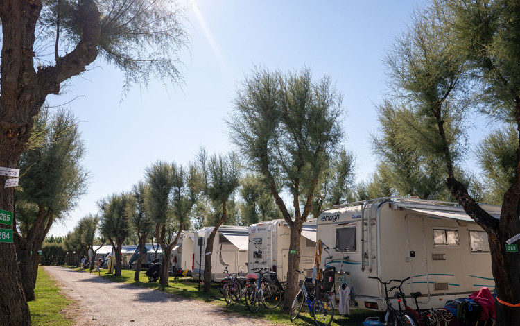 Camping Bellamare