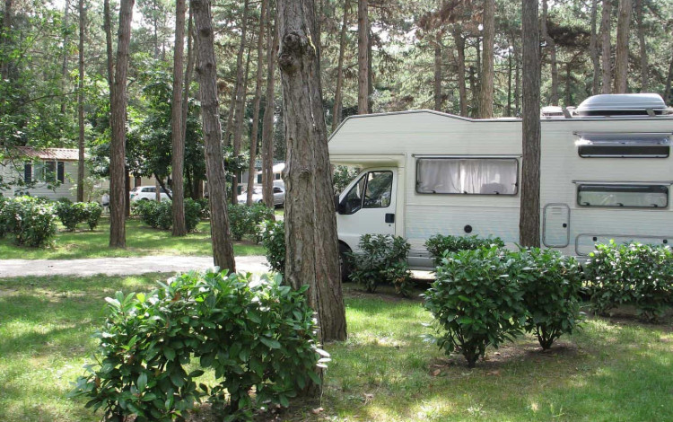 Camping Sabbiadoro