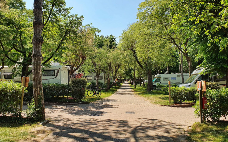 Camping Sabbiadoro