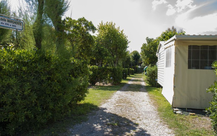 Camping Bocca di Cecina