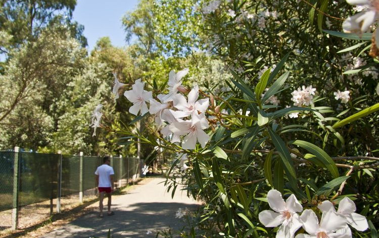 Village Camping Millepini Uno