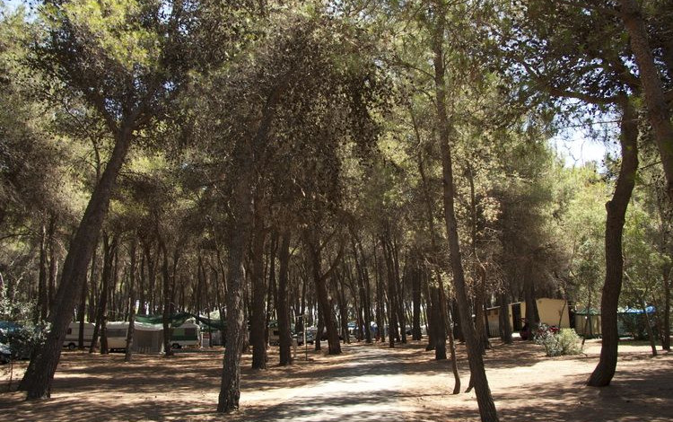 Village Camping Millepini Uno