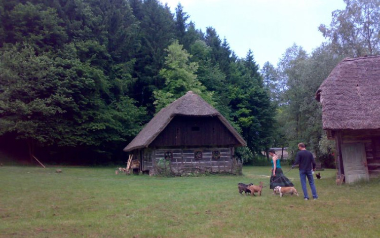 Slovenia