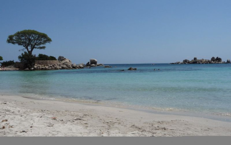 Corsica 
