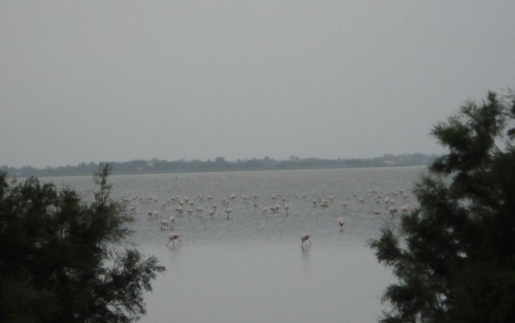 Costa Azzurra, Provenza, Camargue