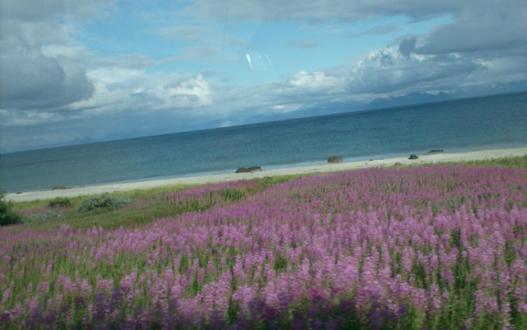 Norvegia 2009