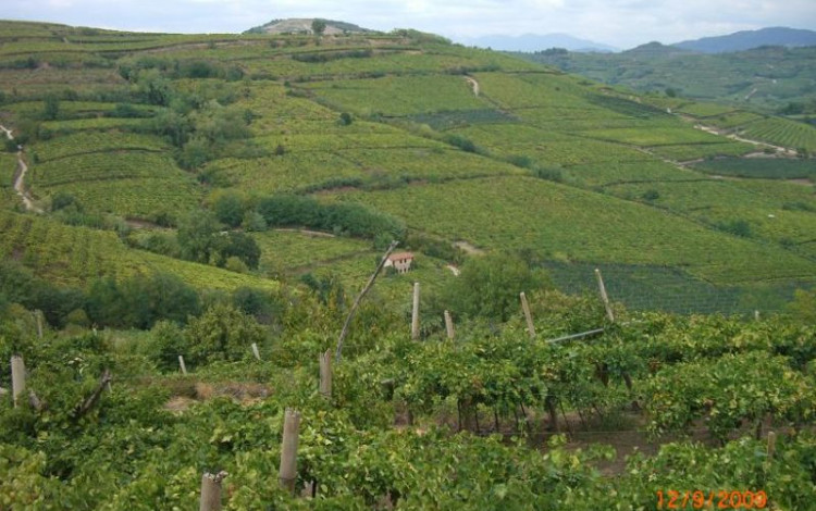 Monteforte ed i suoi sapori (1^ parte)