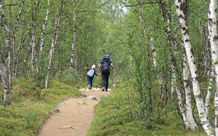 Sul tetto della Lapponia, via Svezia e Norvegia
