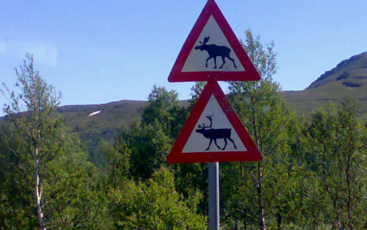 2021 - Re-open Norway