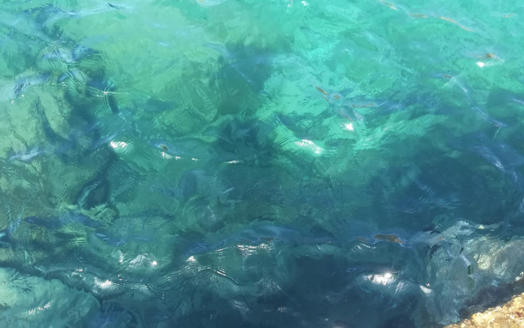 Sardegna ovest, selvaggia, e Cagliari