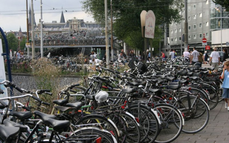 Olanda 2009