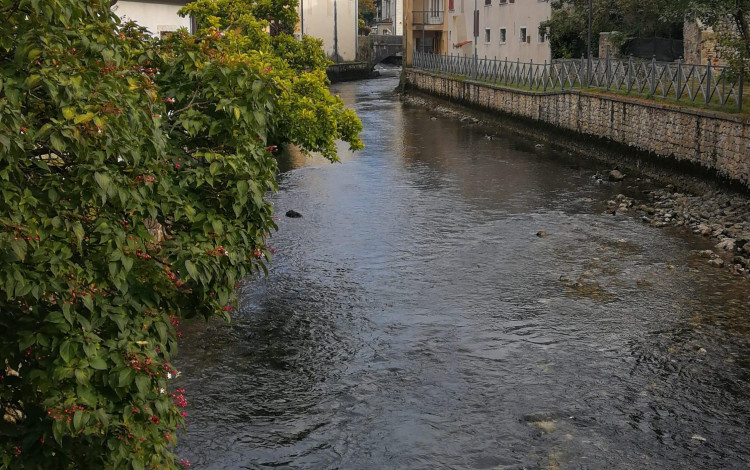 Friuli Venezia Giulia