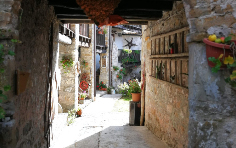 Friuli Venezia Giulia