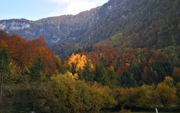 Friuli Venezia Giulia