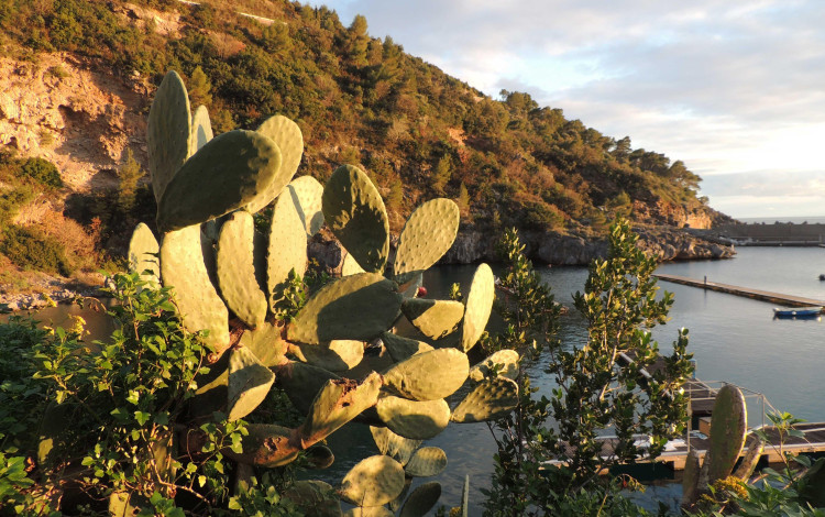 2022 Calabria d'Inverno